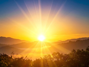Living in alignment with your frequency