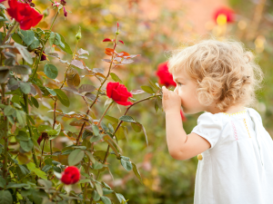 Your nose is the doorway to your brain