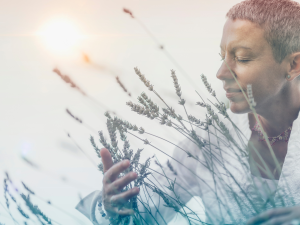 From instinct to intellect: how the brain makes meaning of scent